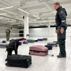 Musta koira nuuskii tummaa matkalaukkua. Rajavartijan asuun pukeutunut mies seisoo koiran vieressä ja katsoo sitä. Matkalaukkuja on tyhjän liikehuoneiston lattialle levitetty kahteen siistiin riviin.