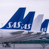 SAS-lentoyhtiön Airbus A320-lentokoneita parkissa lentoasemalla Kööpenhaminassa.