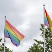 Kaksi Pride-lippua liehuu.