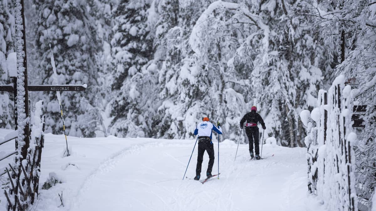 Kaksi hiihtäjää lumisessa maisemassa.
