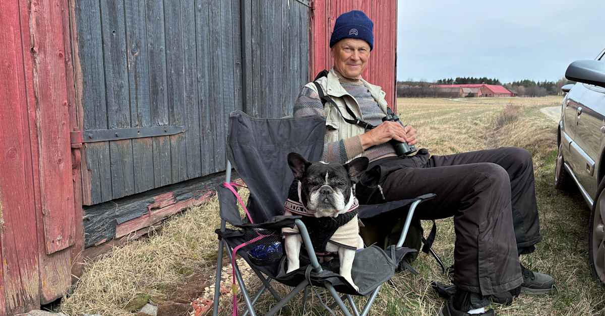 Lintujen kevätmuutto hyytyi: ”Olemme paljon myöhässä”