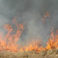 File photo of dry grass burning in field.
