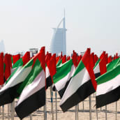 Yhdistyneiden arabiemiirikuntien lippuja hiekalla.