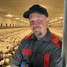 broilertuottaja Petri Yli-Soini