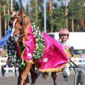 Iikka Nurmosen ohjastama H.V. Tuuri on voittanut St. Michel -ravien päälähdön Suurmestaruusajon Mikkelissä 17. heinäkuuta 2021.