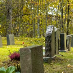 Hautakiviä kahdessa rivissä hautausmaalla.