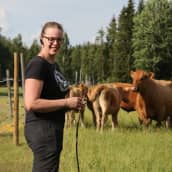 Maataloustuottaja Riitta Saloniemi on laitumella lehmien kanssa Laitilassa
