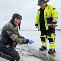 Kaksi harrastekalastajaa kokemassa verkkoja jäällä.