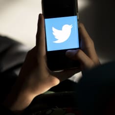 Twitterin logo puhelimen näytöllä.