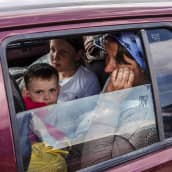 Perhe istuu autossa, lapsi katsoo raollaan olevasta ikkunasta kameraan.