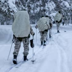 Sotilaita hiihtämässä Sodankylän Jääkäriprikaatin järjestämällä talvisodankäynnin kurssilla 2024.