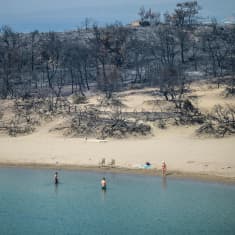 Kolme turistia ui hiekkarannalla, jonka takana avautuu maastopalojen korventaman metsän jäänteet.