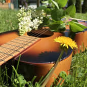 Akustinen kitara ruohikolla, jonka päällä syreenin kukka ja etualalla voikukka