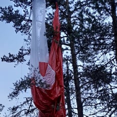 Ilmatieteen kadonnut sääpallo on räjähtänyt ja tippunut männyn latvaan.