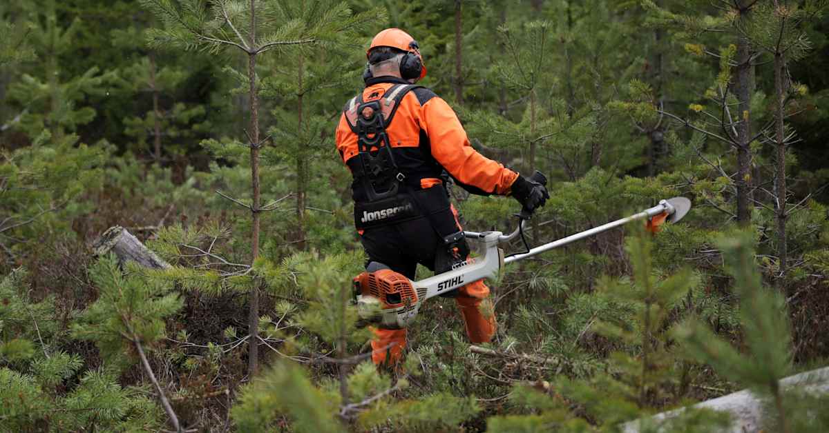 Isot yksityiset metsäyhtiöt antoivat potkut metsureille – ostavat tilalle yhä enemmän ulkomaista työvoimaa