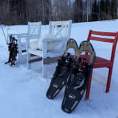 Kahdet lumikengät nojaavat ulkona oleviin tuoleihin lumisessa pihassa.
