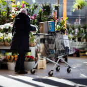 Henkilö katselee kukkakaupan valikoimaa.