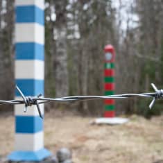 Piikkilanka-aita Suomen ja Venäjän rajalla.
