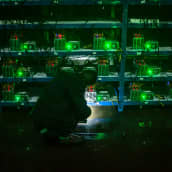 Vihreänä hohtavia tietokoneita, edessä hahmo varjossa.