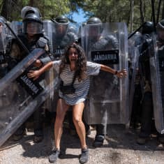 Mielenosoittaja vastustaa mellakkapoliiseja metsähakkuiden vastaisessa protestissa Turkissa.