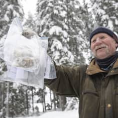 Mies pitää suden tekemiä ulosteita kädessään.