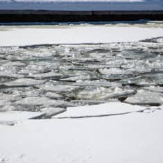 Calypso -hinaajan keulaan kiinnitetty jäätämurtava irtokeula Saimaan kanavassa murtamassa jäätä Soskuan sulun kohdalla, perässä kelluu jäälauttoja 22.3.2021.