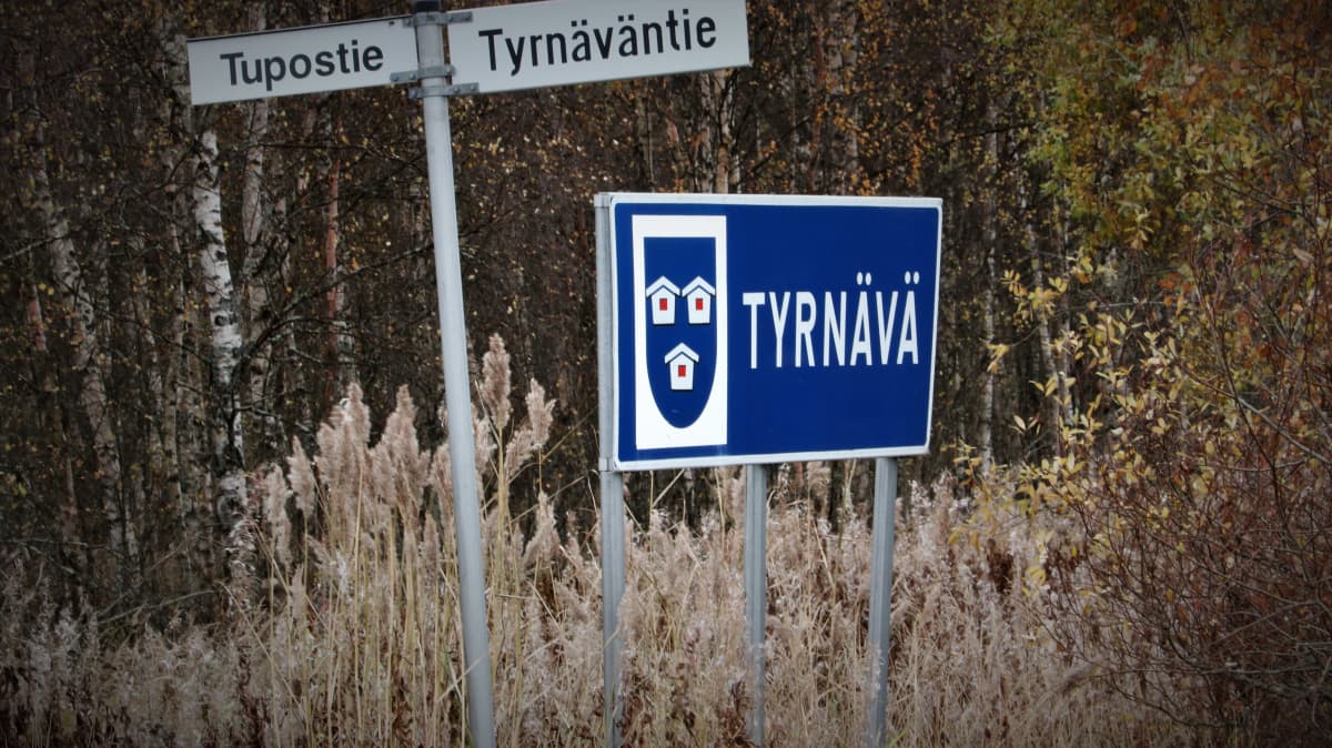 Kyltteja maantien varressa Tyrnävän rajalla.