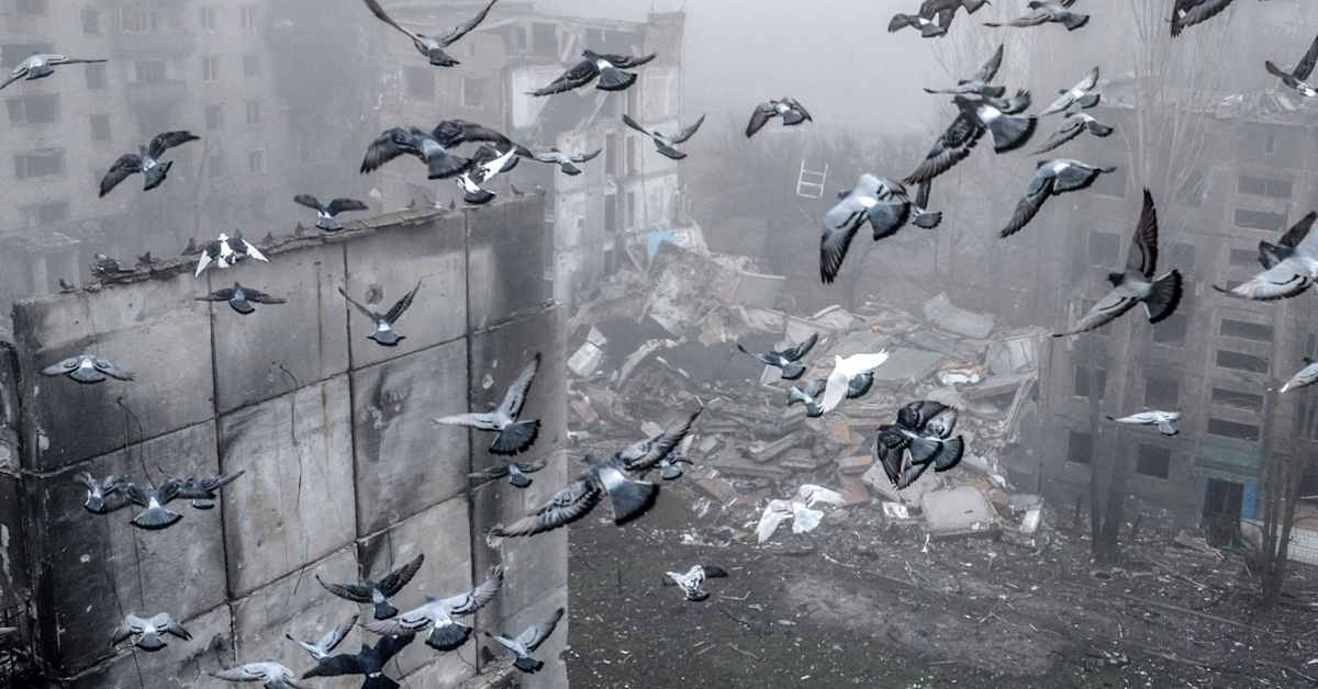 Финское исследование: затянувшаяся война привела к серьёзному кризису психического здоровья среди украинской молодёжи