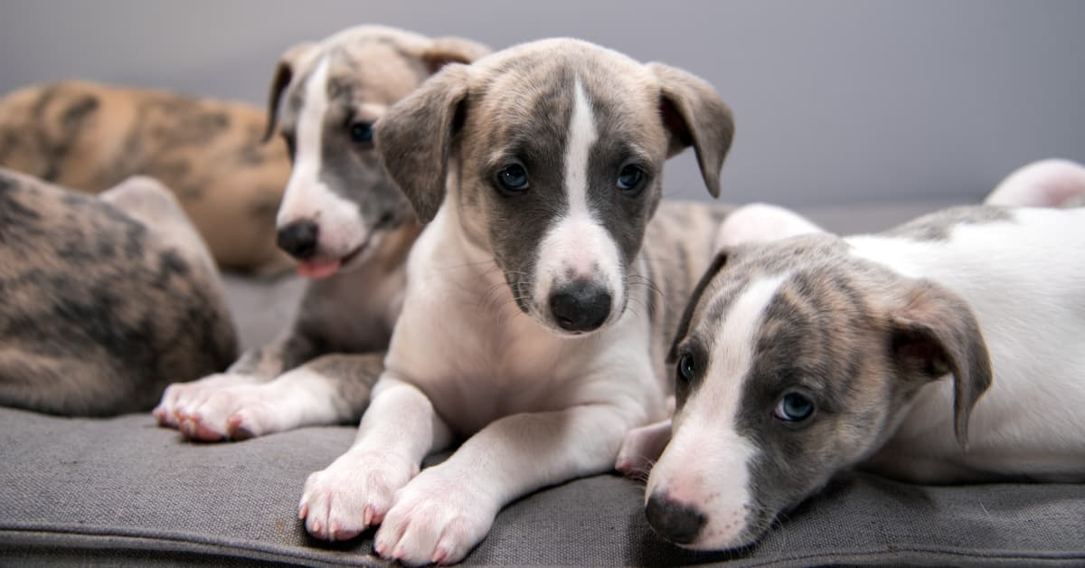 11 practical tips for getting through winter’s dark days