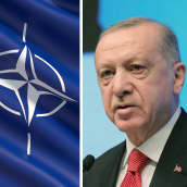Kuvakollaasissa tasavallan presidentti Sauli Niinistö, Nato-lippu ja Turkin presidentti Recep Tayyip Erdogan.