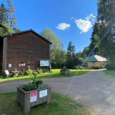Vanhoja rakennuksia auringonpaisteessa puistossa