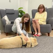 Ukrainalainen Ann Krivko sai apua koira-avusteisesta kriisiterapiasta: "Gepetto ei halua tuomita, se on vain hyvä eläin."
