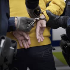 Poliisit laittavat käsirautoja pidätetyn käsiin.