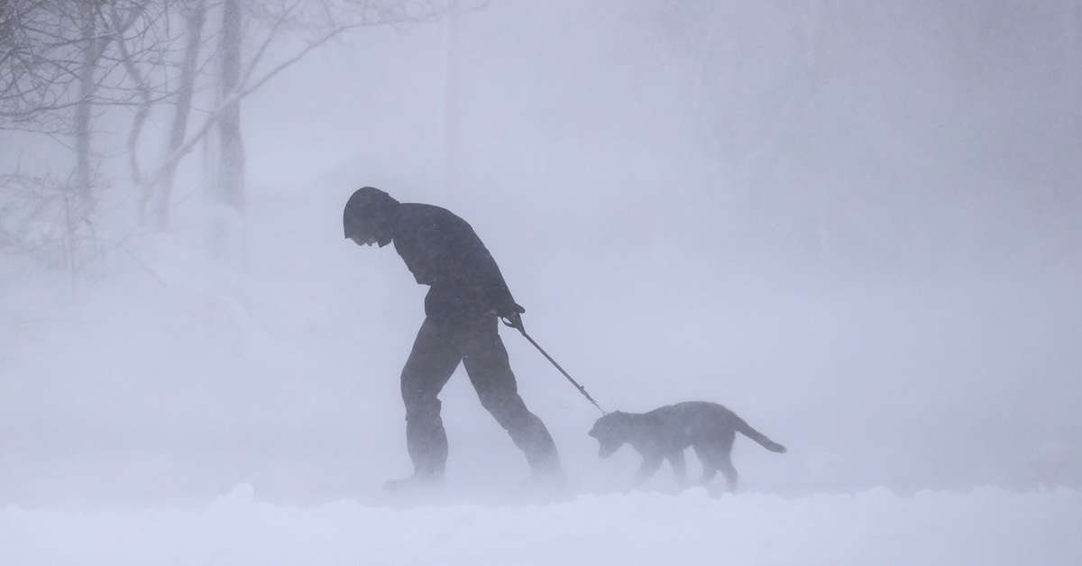 Varför snöar det mycket trots att jorden blir varmare? | Inrikes ...