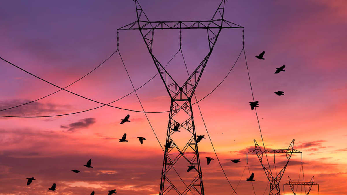 Sähkölinjoja auringonlaskun aikaan. Linnut lentelevät taivaalla