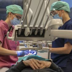 Hammaslääkäri ja hoitaja hoitavat hammashoitopotilasta.