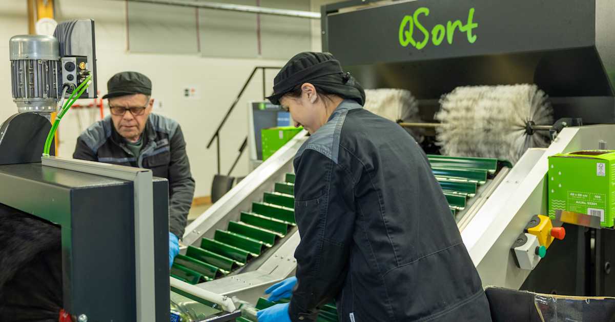 Selviäisivätkö kasvihuoneviljelijät ilman tukia? Näin vastaavat ministeriö ja närpiöläinen osuuskunta