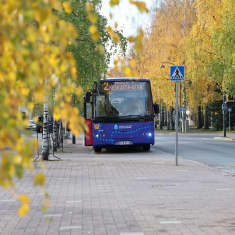 Paikallisliikenteen bussi pysäkillä.