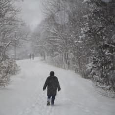Kävelijöitä lumisessa puistossa lumisateella.