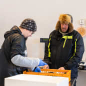 Temosten serkut käsittelevät kaloja kalojenkäsitelylaitoiksella