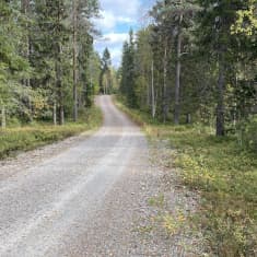 Suomussalmella oleva Nihkontien yksityistie (syksyllä 2023).