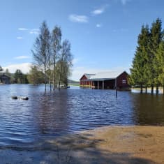  Spring flooding in Pello, Finnish Lapland, on 19 May, 2023, showing a red house that is partly flooded.