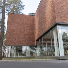 Jyväskylän Yliopiston päärakennuksen lasi-ikkunoita mäntymetsän laitamilla.