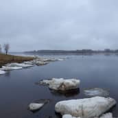 Tornionjoki on vapautunut jäistä toukokuussa Pellossa. Ilma on sumuinen ja joessa on vielä muutamia jäälohkareita.