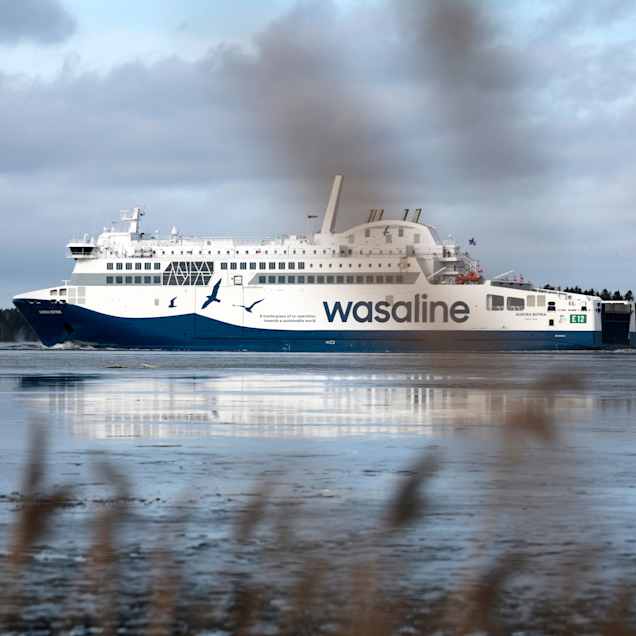 En stor färja med texten "Wasaline" på sidan färdas på vattnet under en mulen himmel.