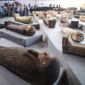 Egyptissä Sakkaran kaupungista löytyneitä sarkofageja eli muumioiden hautasäiliöitä esiteltiin medialle.