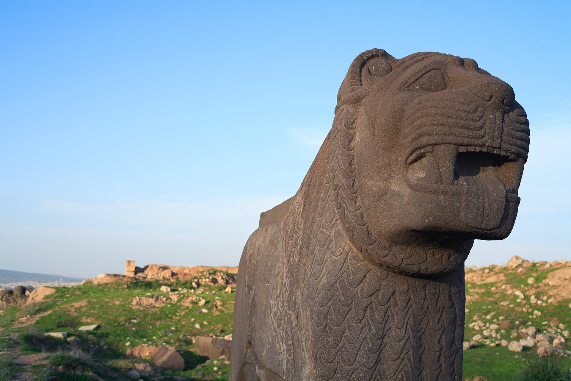 Ain Daran temppelin leijona.