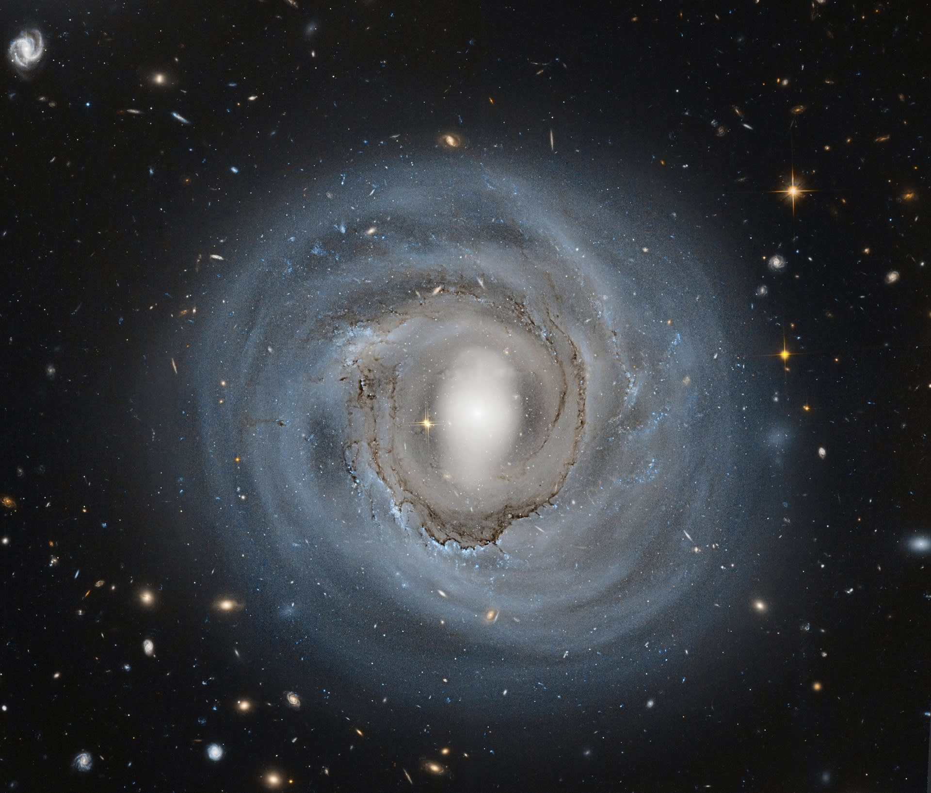Hubble-avaruusteleskoopin kuva 310 miljoonan valovuoden päässä sijaitsevasta NGC 4921 -galaksista.