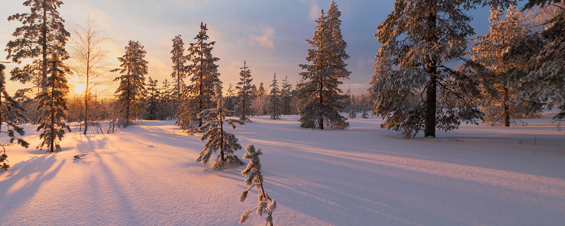 Lunta Rovaniemellä metsässä.
