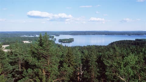 Anne Mikkanen ehdottaa, että suurkunnan syntyessä keksittäisiin ainakin uusi nimi Vesijärvelle.